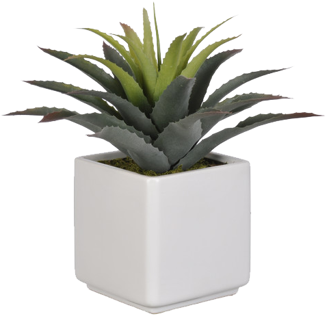 Artificial Star Succulent Desk Top Plant In Pot - Succulent In Pot Png (505x473), Png Download