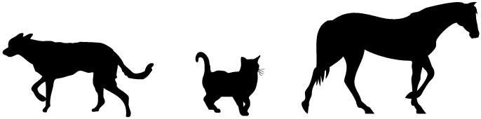 For Dogs, Cats, And Horses - Dog (690x188), Png Download