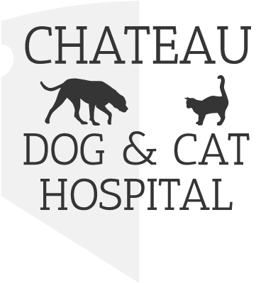 Chateau Dog & Cat Hospital - Chateau Dog & Cat Hospital (403x413), Png Download