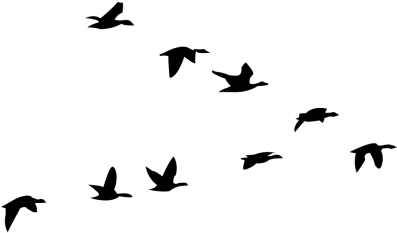 Tumblr Inline On6co7tohd1rw87o8 500 - Logo (500x500), Png Download