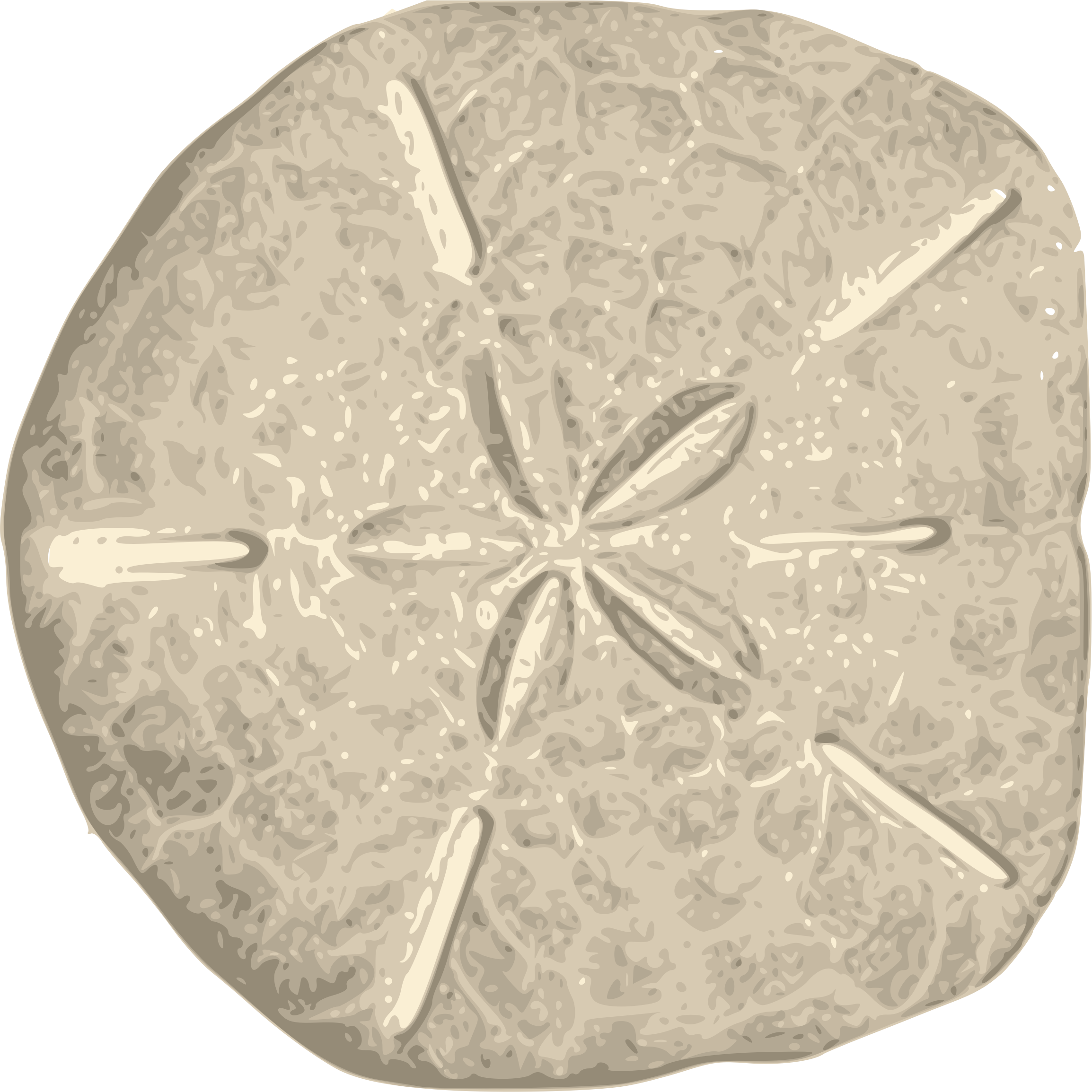 Jpg Freeuse Stock Dollar Big Image Png - Sand Dollar Clipart (2308x2309), Png Download