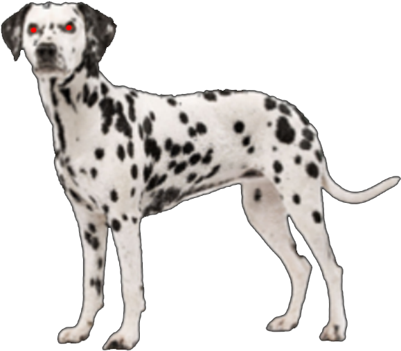 Download Susie Dalmatian Dog Dalmata Png Full Size Png Image Pngkit