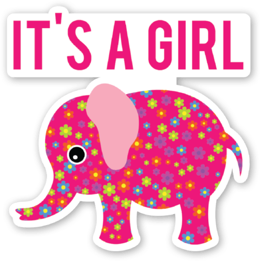 Elephant Baby Shower Its A Girl - Babyshower Its A Girl (530x530), Png Download