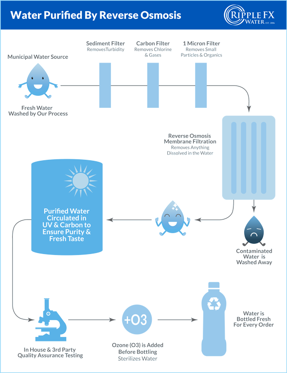 Smk Kesehatan Tpa Jember (590x768), Png Download