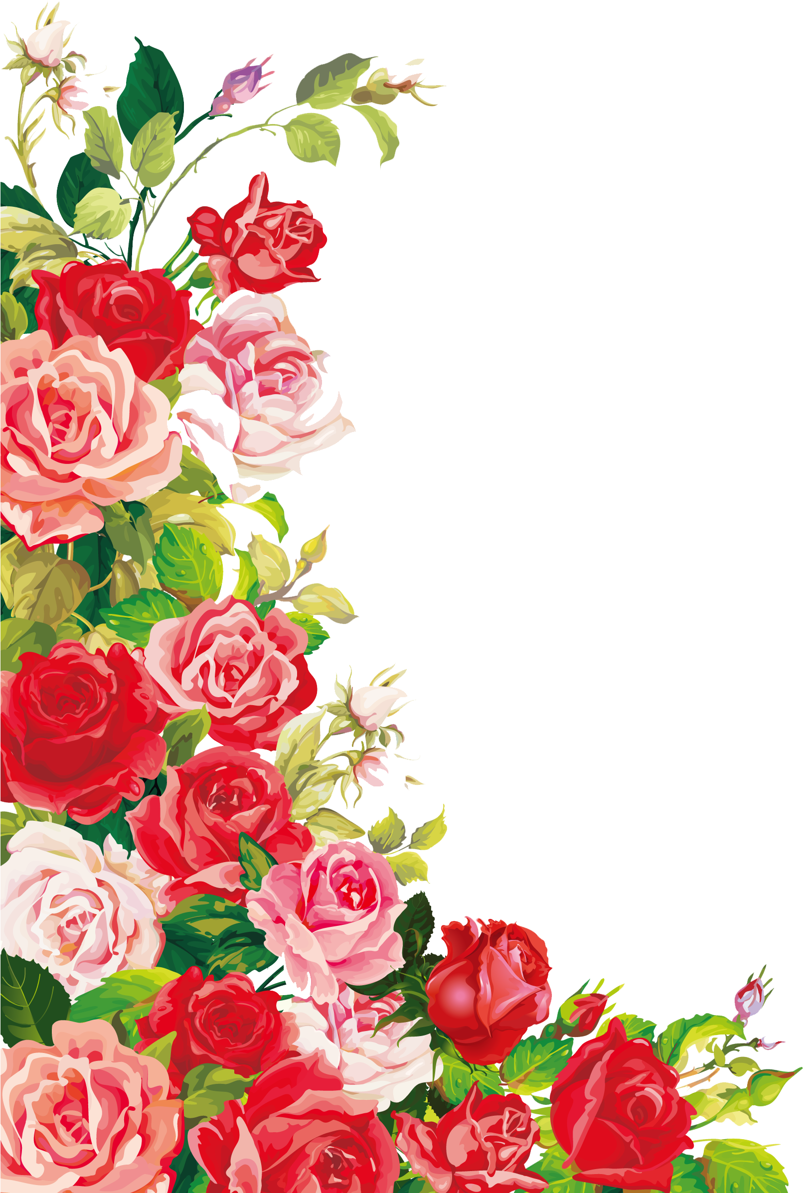 Pin By Yvonne Maddicks - Rose Birthday Background (1701x2405), Png Download
