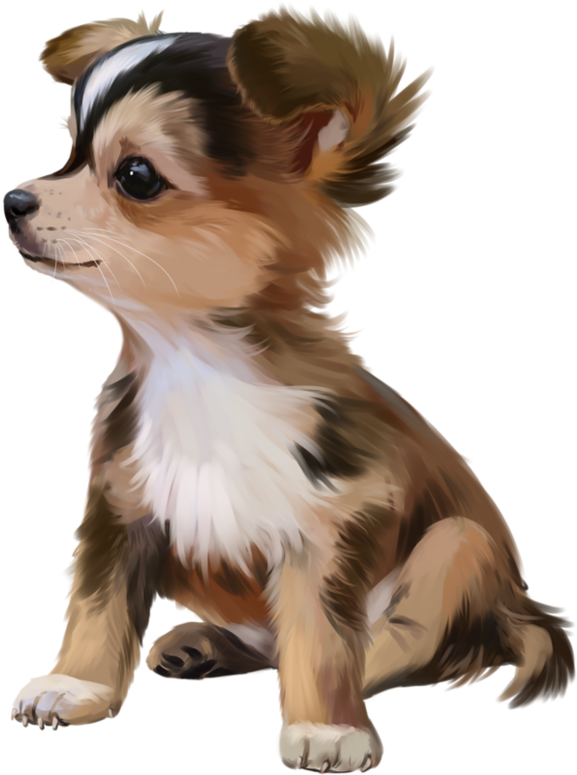 Image Du Blog Zezete2 - Katze U. Hund Kissen (600x774), Png Download