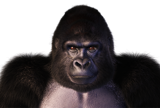 Apex Gorilla Character - Monkey (510x346), Png Download