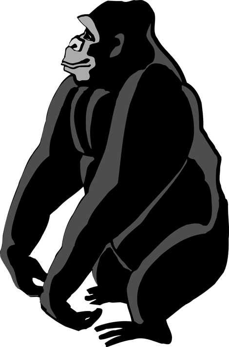 Gorilla Clipart - Gorilla Clipart Png (470x713), Png Download