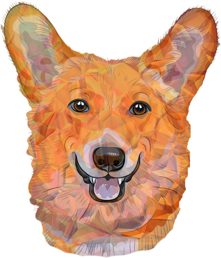 Color Dogs,red Dog,dog,german Dog,white Dogs,black - Corgi Drawing Transparent Background (500x600), Png Download
