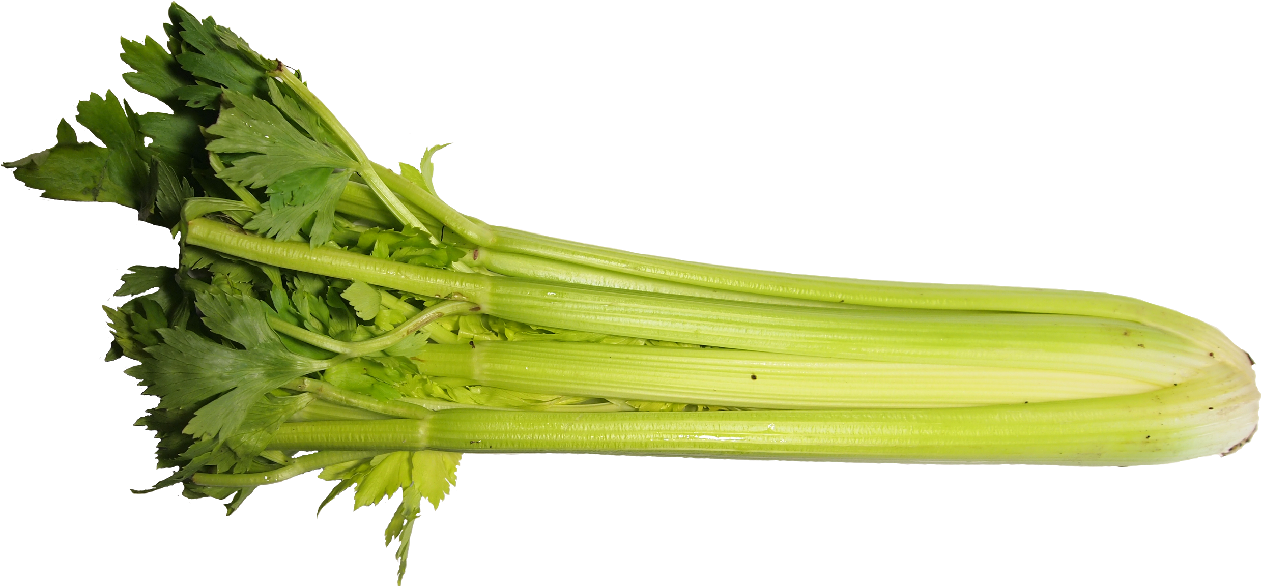 Celery Transparent One Piece - Celery (2500x1152), Png Download