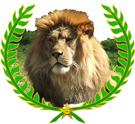 Lion Png File - 3rd Place (479x435), Png Download