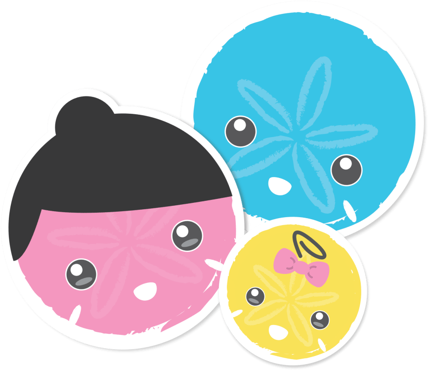 Sand Dollar (1000x1000), Png Download