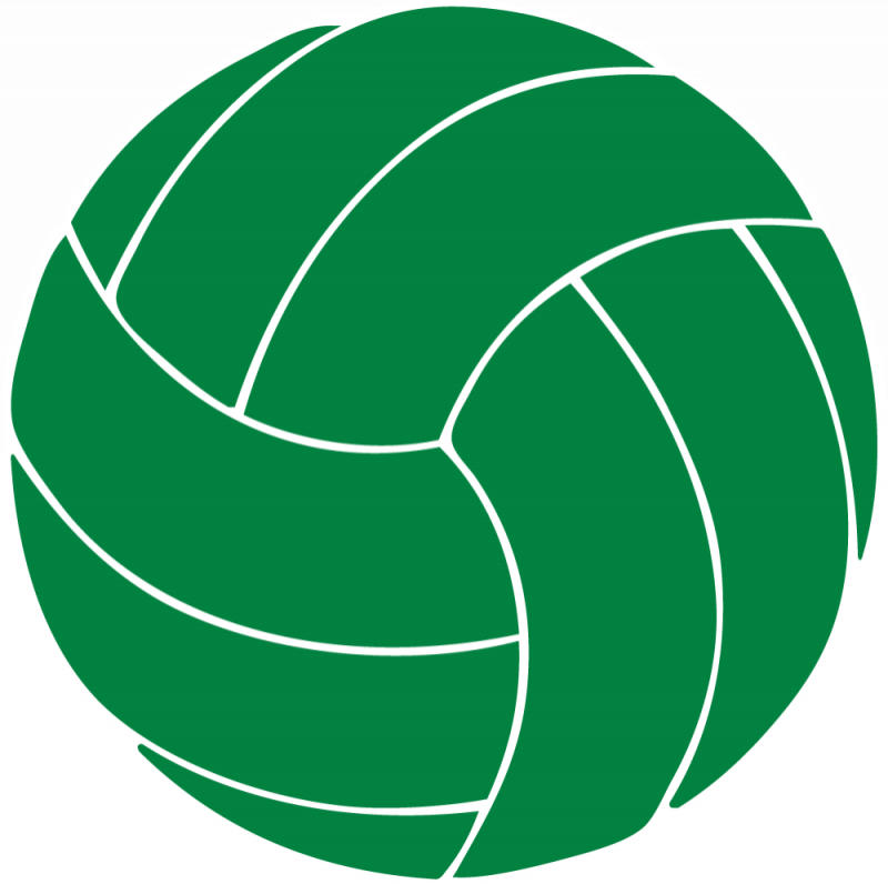 Volleyball Clipart Family - Volleyball Clipart Black (800x796), Png Download
