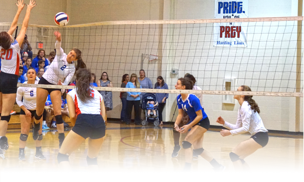 Athletics-volleyball 2016 (1000x600), Png Download