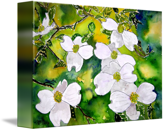 Dogwood Tree Flowers Painting By Derek Mccrea - Gallery-wrapped Canvas Art Print 10 X 7 Entitled Dogwood (650x518), Png Download