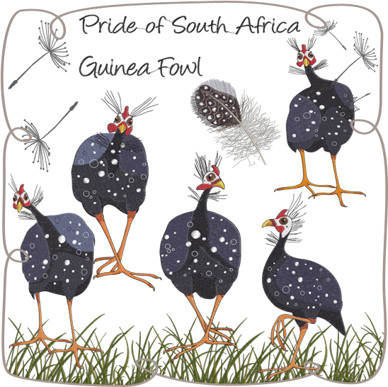 Guinea Fowls Machine Embroidery Designs - Guinea Fowl Cartoon (580x580), Png Download
