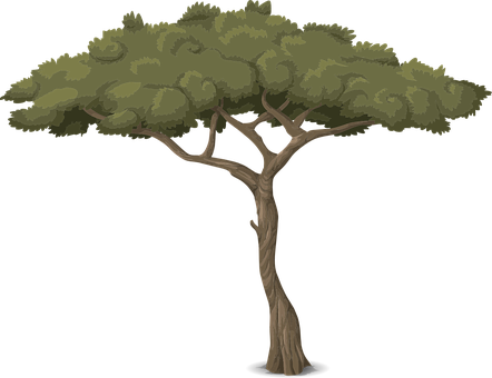 Tree Trunk Nature Leaves Branches Graphic - Baum Grafik (442x340), Png Download