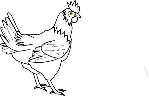Clipart Outline Cute Borders - Chicken Clip Art (600x386), Png Download