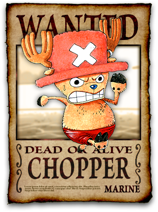 C - One Piece Nami (320x429), Png Download