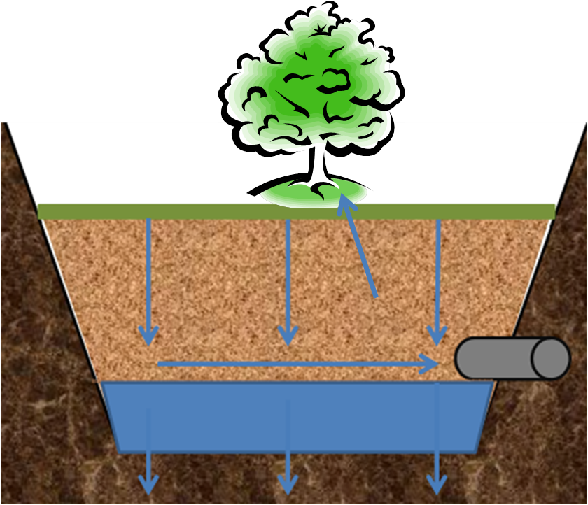 Tree Trench Schematic - Sighing Forth My Soul: Reflections Along A Journey (840x722), Png Download