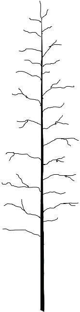 Tree, Trunk, Dead, Bare-faced, Bare, Fir - Tree (320x640), Png Download