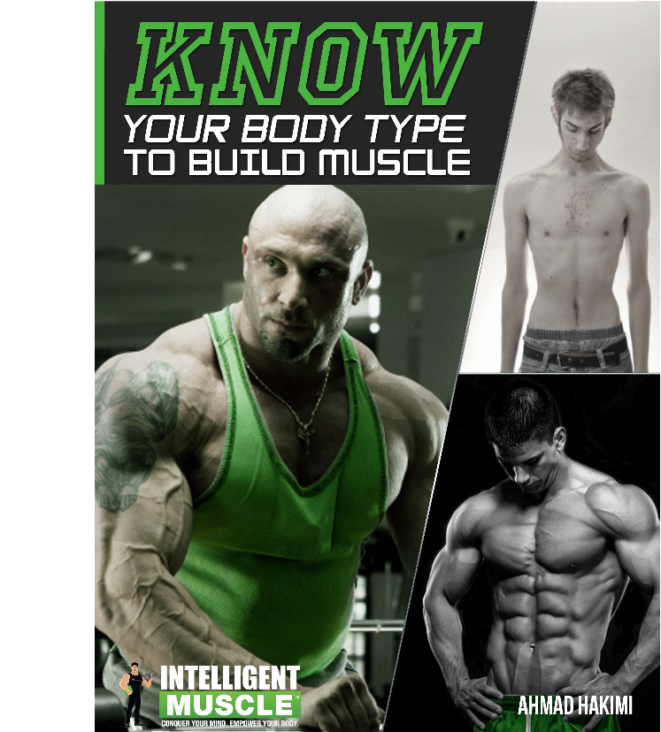 Know Your Bodytype To Build Muscle - Università Degli Studi Niccolò Cusano (833x833), Png Download