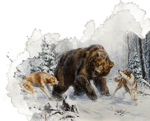 Eldritch Knight - Bear (816x530), Png Download