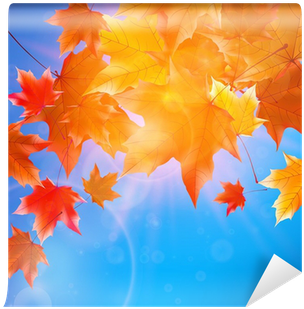 Delicate Autumn Sun With Glare On Blue Sky - Delicate (400x400), Png Download
