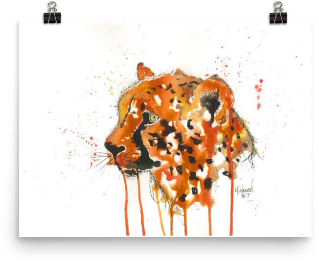 Image Of 'cheetah' - Illustration (1000x1000), Png Download