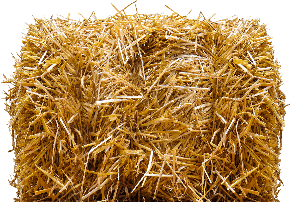 Miscellaneous - Bales - Hay Bale Png (1280x847), Png Download