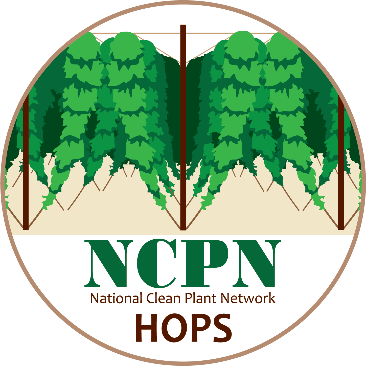 Ncpn-hops Png - Hops (1873x1448), Png Download