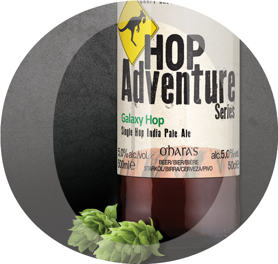 Amount Of Cara And Vienna Malts Leave All Of The Work - Ohara's Hop Adventure Aramis (599x553), Png Download