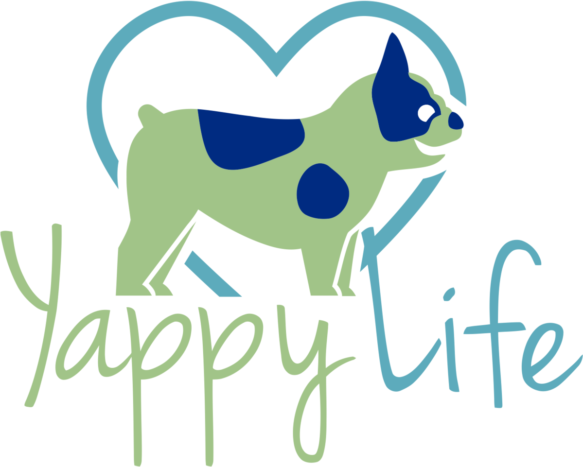 French Bulldog Png (1200x972), Png Download