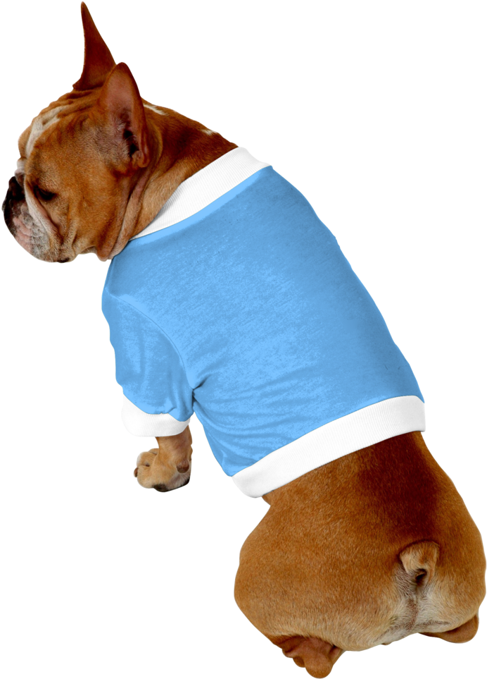 Clip Art Boxer French Bulldog - Bulldog (870x1024), Png Download