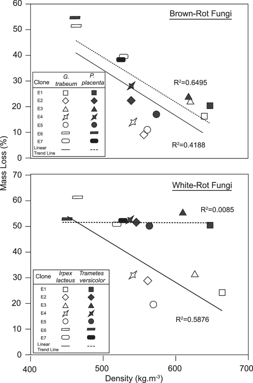 Correlation Between Density And Mass Loss For The Eucalyptus (850x1287), Png Download