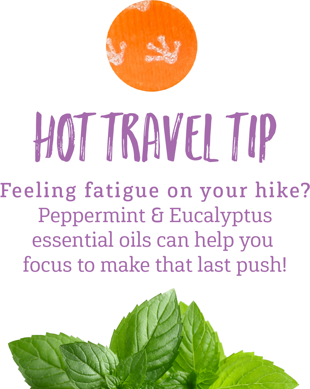 Purple Frog Products On Twitter - Shaved My Legs (1243x1441), Png Download