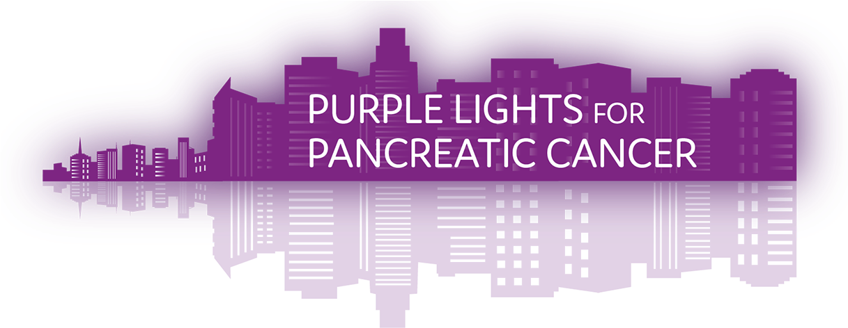 Light Up A Landmark - Skyline (1920x473), Png Download