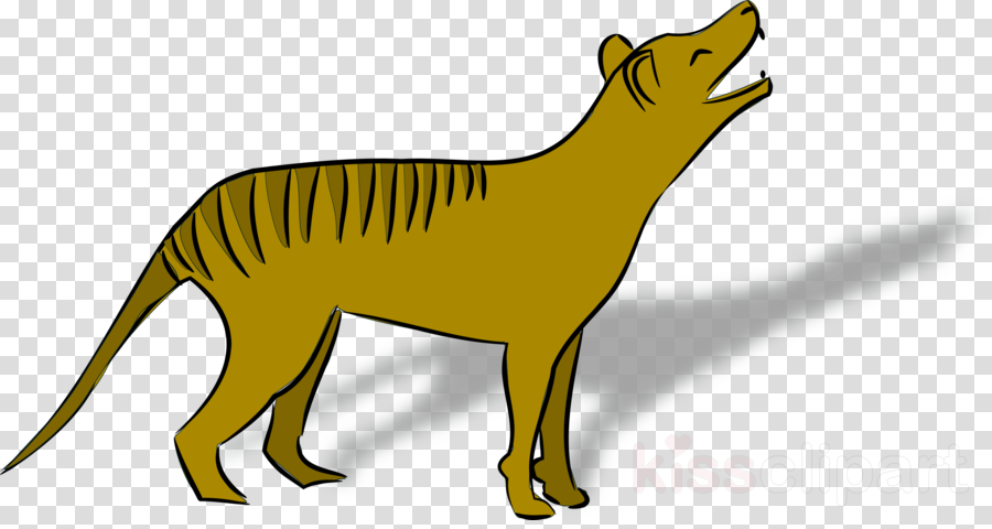 Thylacine Clipart Tasmanian Devil Thylacine - Png Clipart Flash Light (900x480), Png Download