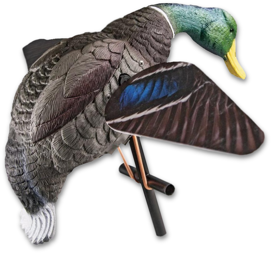 Duck Hunting Png Hd Pluspng - Lucky Duck Lucky Hd With Remote - Lucky Duck - Motion (1000x1000), Png Download