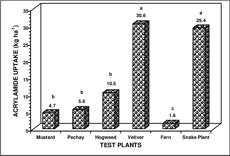 Comparative Amount Of Acrylamide Uptake Among The Different (777x535), Png Download