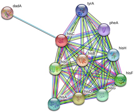 Circle (975x395), Png Download