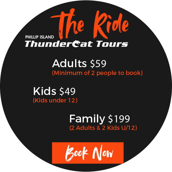 If You Have 4 Or More Adults The Drift Jet Boat Is (575x576), Png Download