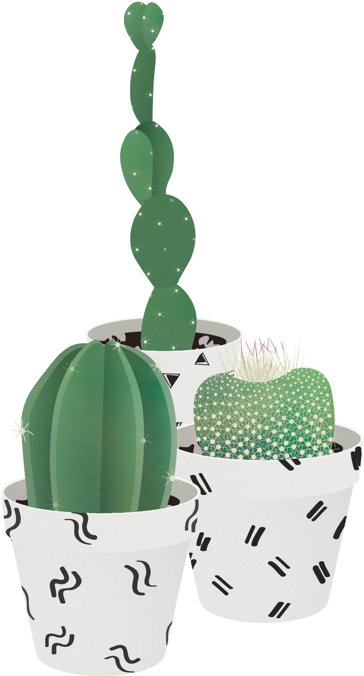 Pin By Huang - Succulent Plant (886x1537), Png Download