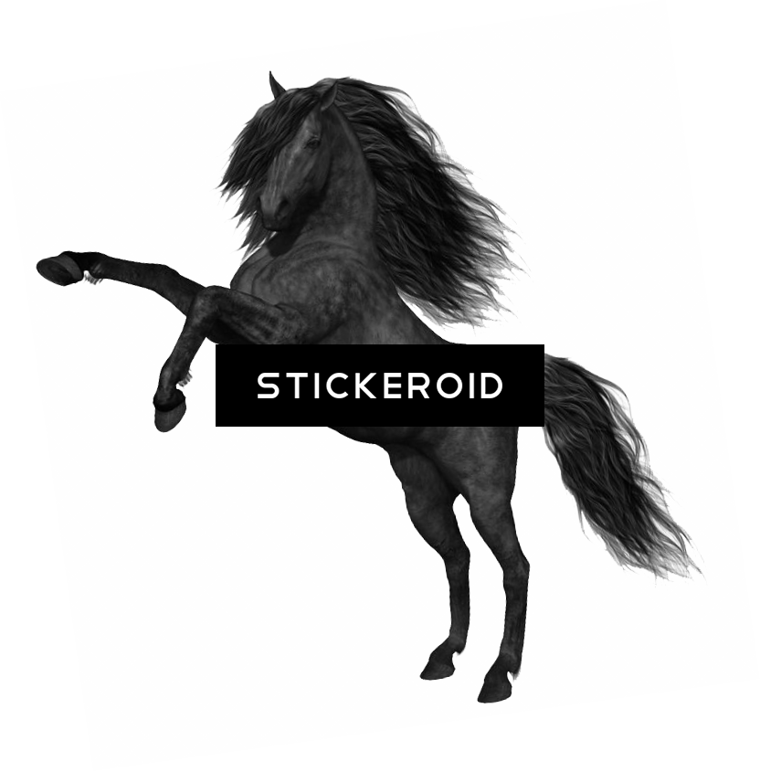 Mustang Horse - Best Gift - Horse Hoodie/t-shirt/mug Black/navy/pink/white (832x845), Png Download