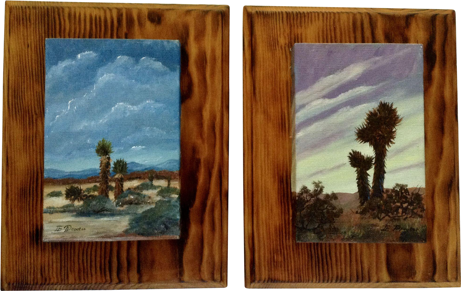 E Proctor, Desert Yucca Thompsoniana In Barren Texas - Picture Frame (1964x1964), Png Download