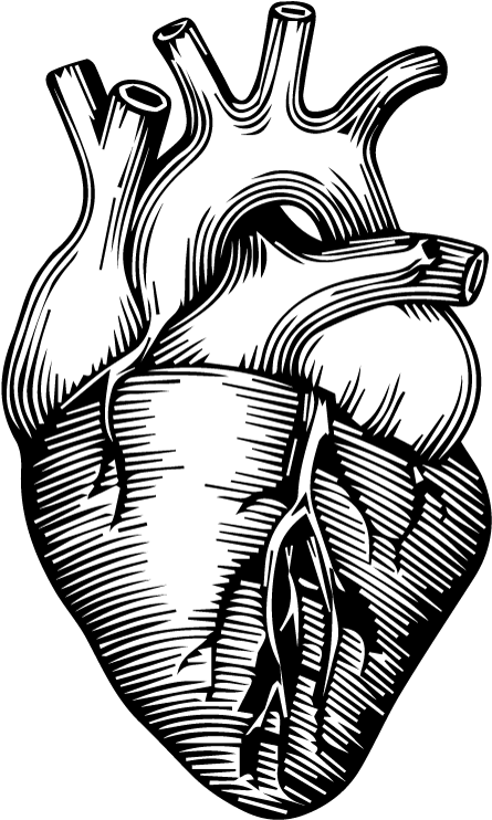 Citizen Heart Logo (500x786), Png Download