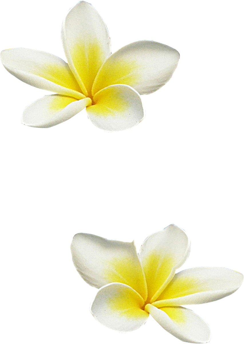 Florju Paradise Elmt Galerij Tubesplaza Nl Tubesplazanl - Clip Art (853x1200), Png Download