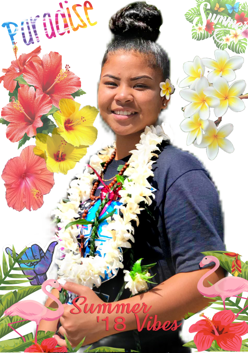 Paradise Summer Summertime Saipan Plumeria Hibiscus - Frangipani (954x1358), Png Download