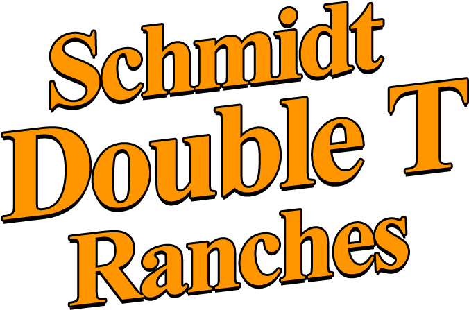 Whitetail Deer Hunts - Calligraphy (700x665), Png Download
