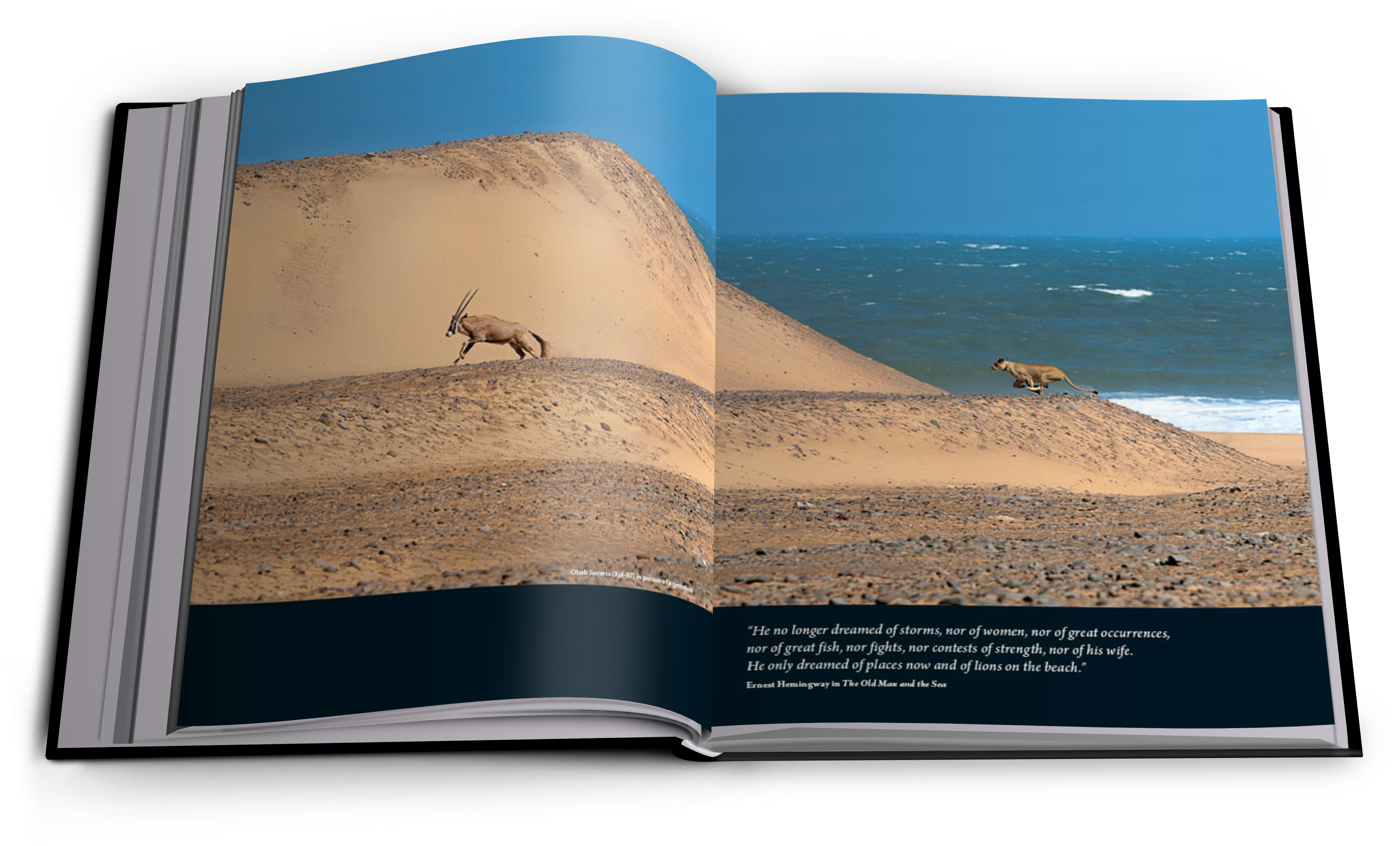 3 - Vanishing Kings – Lions Of The Namib (5000x3912), Png Download
